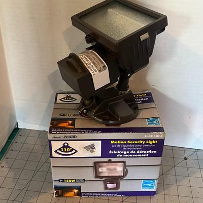 Motion Security Light & Simulated Dome Camera Set