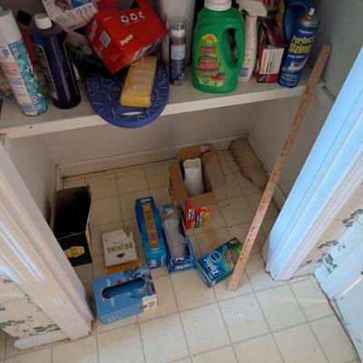Assortment Of Laundry Supplies (UR)