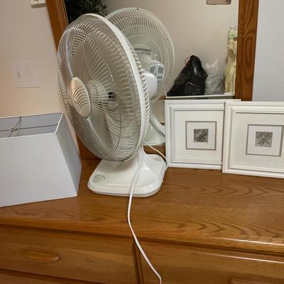 Lampshade, fan & dragonfly decor