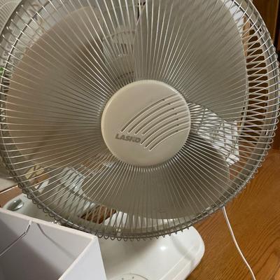 Lampshade, fan & dragonfly decor