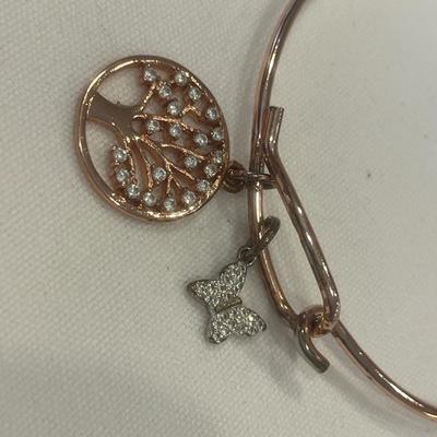 Silver Expressions Family bracelet