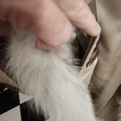 Full Lenght Fur Coat Ann Klein