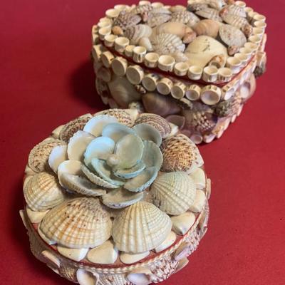 Sea Shell Trinket / Jewelry Boxes
