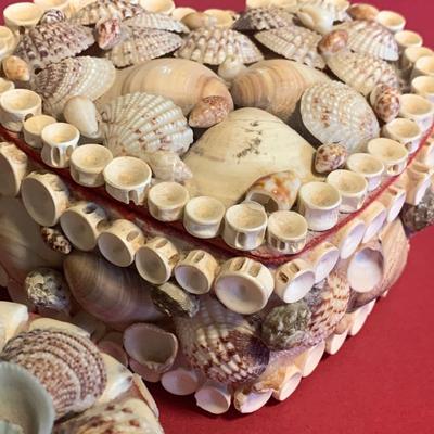 Sea Shell Trinket / Jewelry Boxes