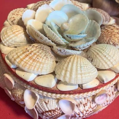 Sea Shell Trinket / Jewelry Boxes
