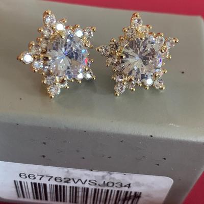 Earrings Lot