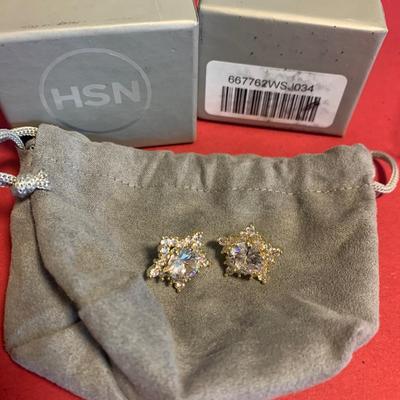 Earrings Lot