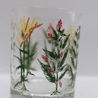 Neiman-Marcus Vintage Rock Glasses - Set of 10