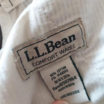 Men's Size 36 Casual Pants by Bill's Khakis & More (C2-BBL)