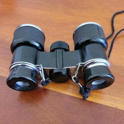 Two Sets of Vintage Binoculars incl. Swift Audubon (BR2-EL)
