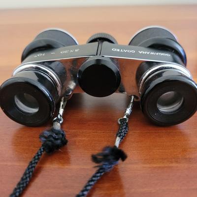 Two Sets of Vintage Binoculars incl. Swift Audubon (BR2-EL)