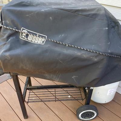 Weber grill