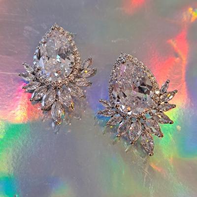 Fashion Earrings