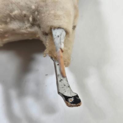 Sale Photo Thumbnail #754