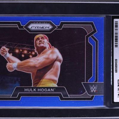 Hulk Hogan 