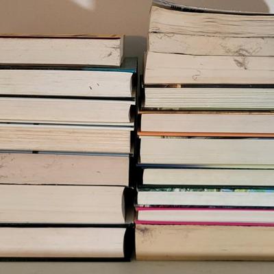 LOT 110: Seventeen Assorted Fiction Books Featuring Dean Koontz and More