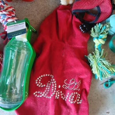 Dog Supplies – Harnesses, Toys, Bowls, and More