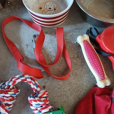 Dog Supplies – Harnesses, Toys, Bowls, and More