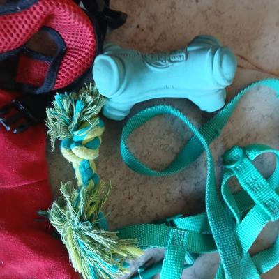 Dog Supplies – Harnesses, Toys, Bowls, and More