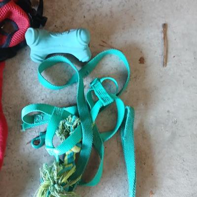 Dog Supplies – Harnesses, Toys, Bowls, and More
