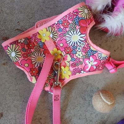 For the Small Dog in your life - Accessories – Pink & Purple Theme