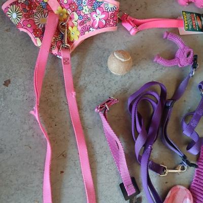 For the Small Dog in your life - Accessories – Pink & Purple Theme