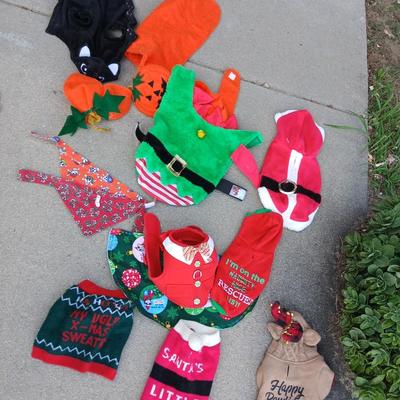 Holiday Dog Costumes & Sweaters – Halloween & Christmas Collection