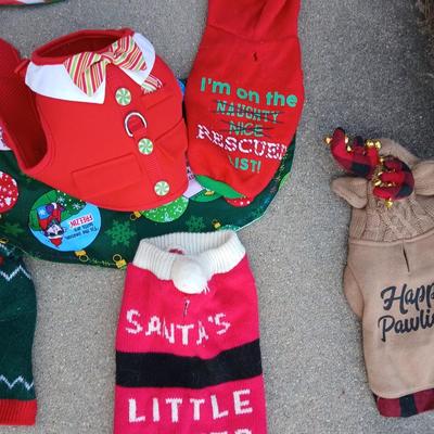 Holiday Dog Costumes & Sweaters – Halloween & Christmas Collection