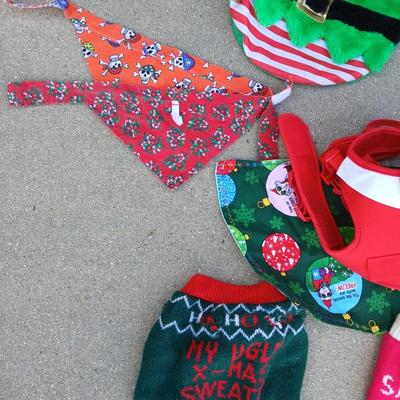 Holiday Dog Costumes & Sweaters – Halloween & Christmas Collection