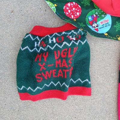 Holiday Dog Costumes & Sweaters – Halloween & Christmas Collection