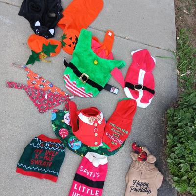 Holiday Dog Costumes & Sweaters – Halloween & Christmas Collection