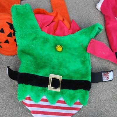 Holiday Dog Costumes & Sweaters – Halloween & Christmas Collection