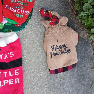 Holiday Dog Costumes & Sweaters – Halloween & Christmas Collection