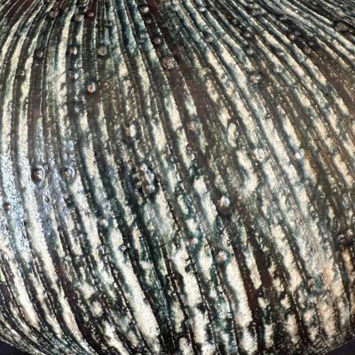 Signed Earthy Vase with Stunning Glaze (FP-BM)