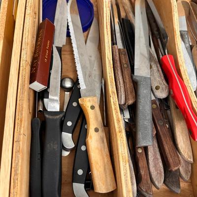 Assortment of kitchen and table knives with drawer organizer
