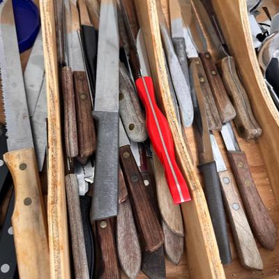 Assortment of kitchen and table knives with drawer organizer