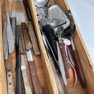 Assortment of kitchen and table knives with drawer organizer