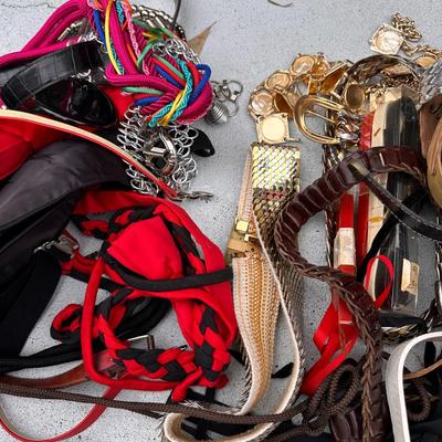 Women’s belt and misc accessories lot