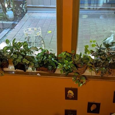 Assortment Of Faux Plants