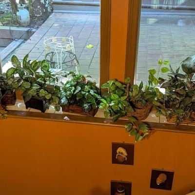 Assortment Of Faux Plants