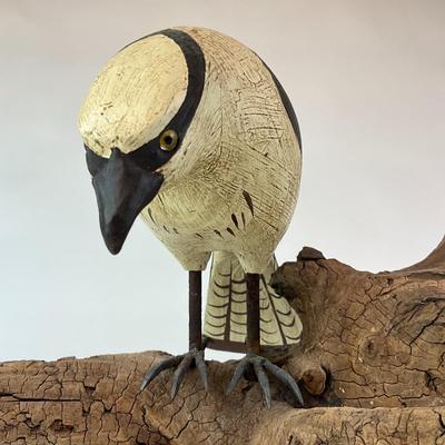 Sale Photo Thumbnail #1096: Unknown artist
Osprey pearched on tree limb/branch
Measurements:
16" in width, 11" in height