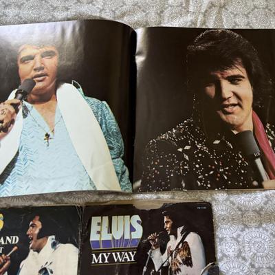 Elvis Lot