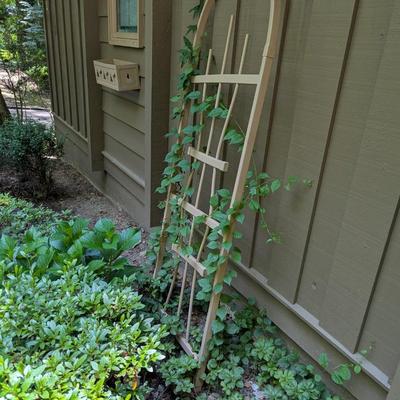 2 Metal Flower Boxes & Trellis