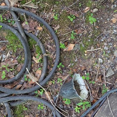 Hose Reel & Hose