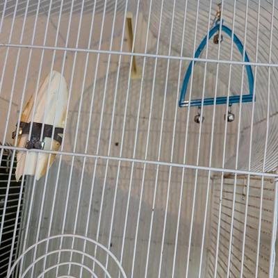 Vintage President Pet Products White Taj Mahal Top Shape Bird Cage