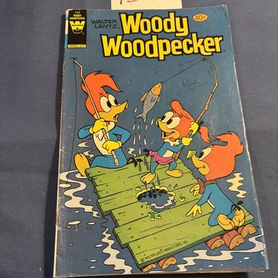 Woody Woodpecker Comic