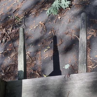 Wooden Garden Wheelburrow