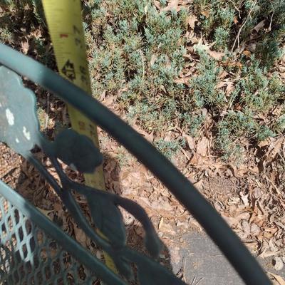 Vintage Metal Verdi Gris Patio Glider