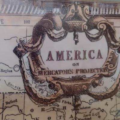 Nicely Framed Wildlife Themed 'America of Mercator's Projection'