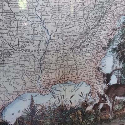 Nicely Framed Wildlife Themed 'America of Mercator's Projection'